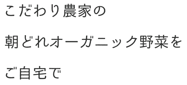 メインビジュアルのタイトル文