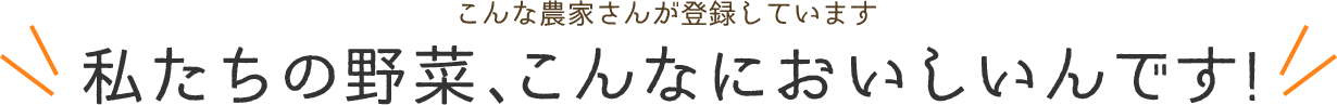 「私たちの野菜こんなに美味しいんです」タイトル文のpc画像